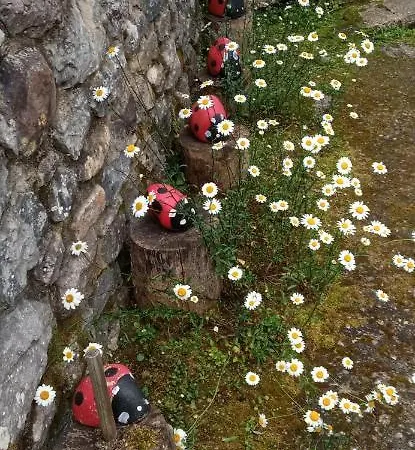 Διαμέρισμα La Casona De *