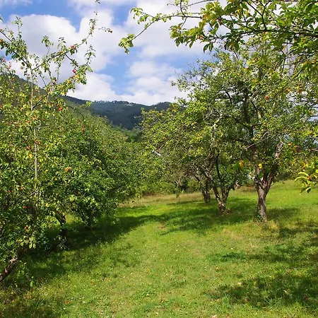 La Casona De * Candamin