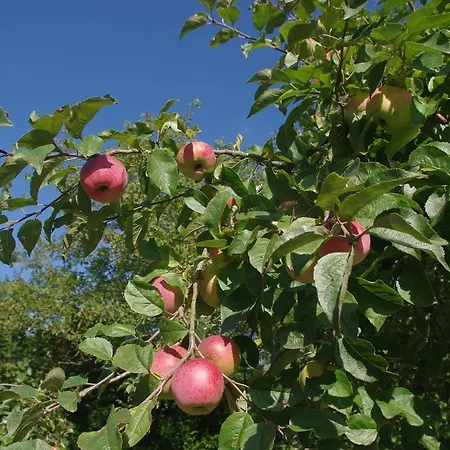 La Casona De Διαμέρισμα